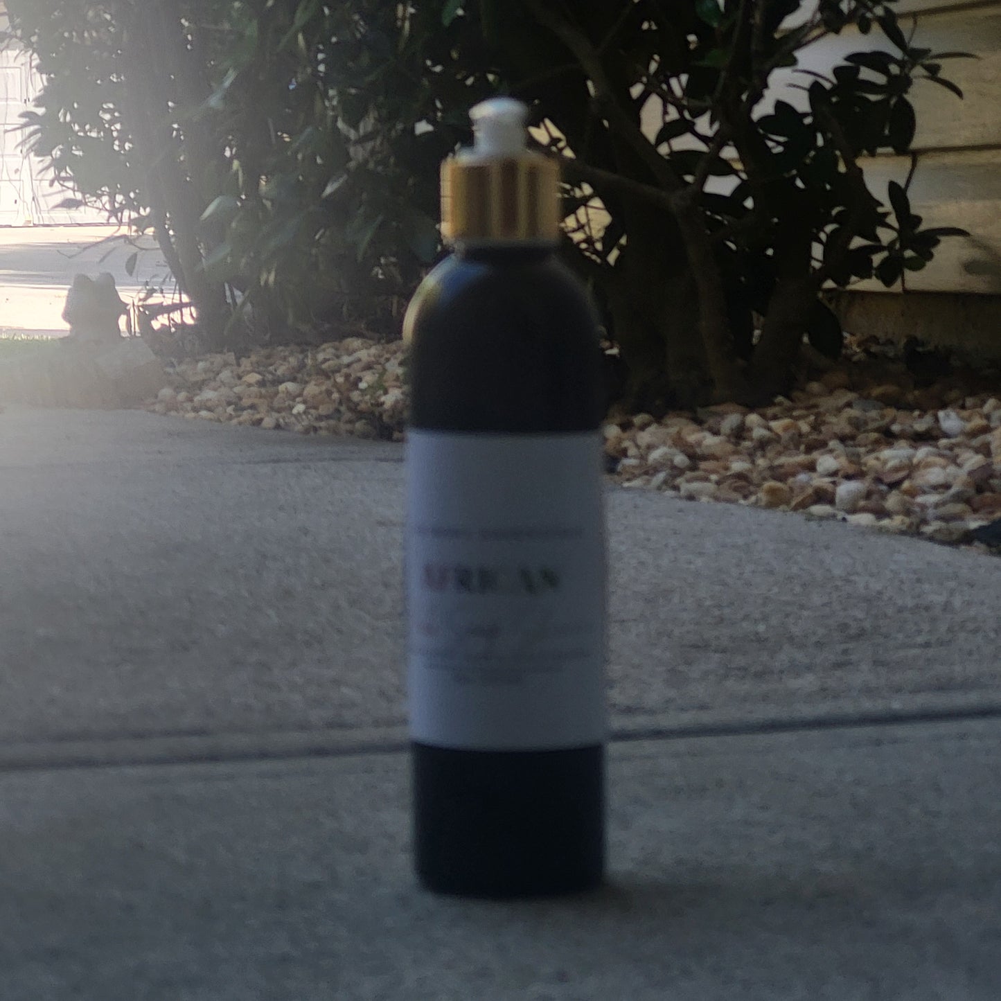 African Black Soap Shampoo
