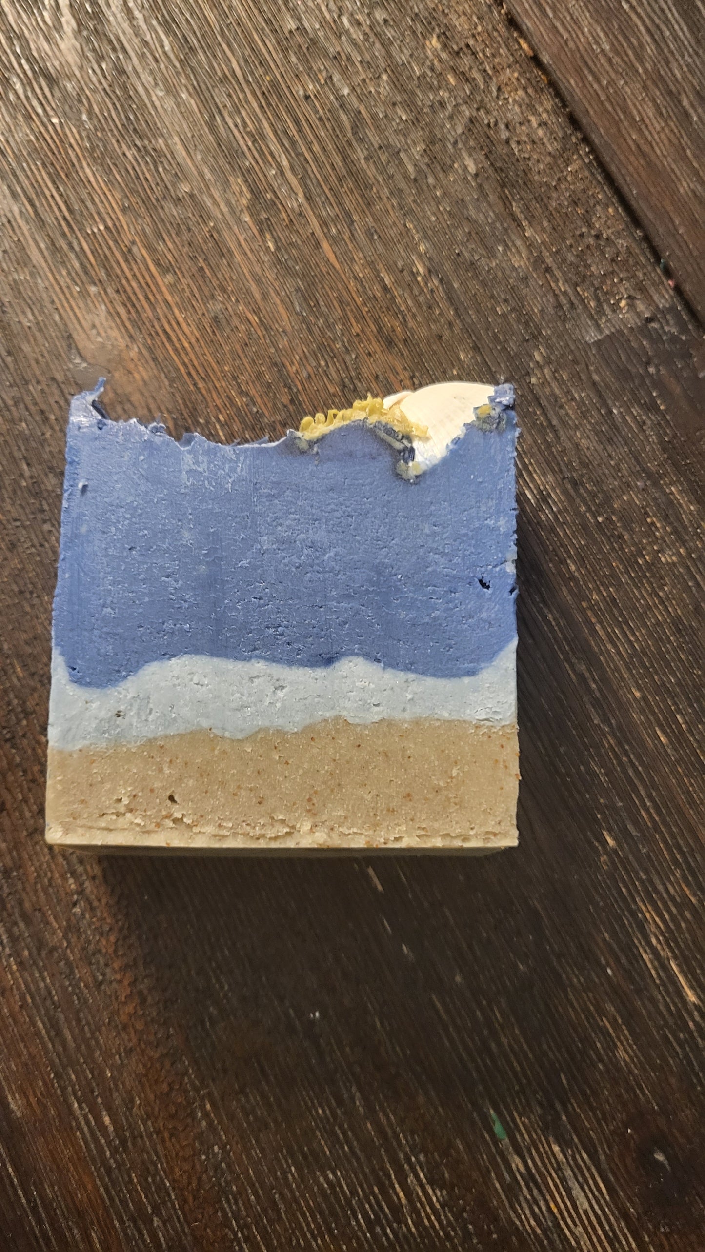 Beach Please Soap Bar