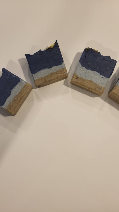 Beach Please Soap Bar 4oz - JAZ Body Essentials