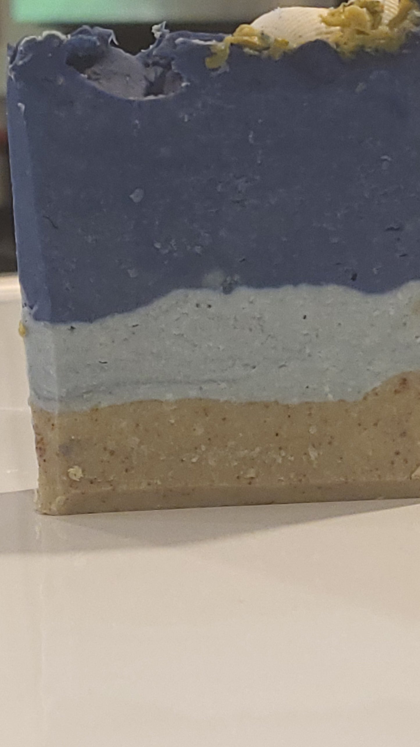 Beach Please Soap Bar