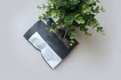 Green plant in a black packaging bag on a light gray background