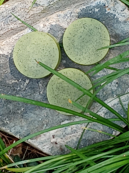 Moringa Soap Bar - JAZ Body Essentials